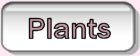 Plants and Floral Displays