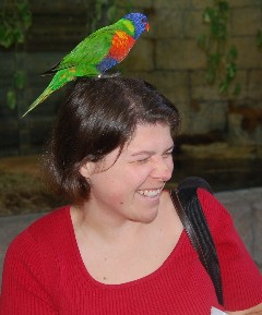 A Bird on the Head is Worth Two in the Cage