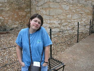 Defeat at the Alamo