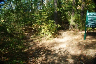 The Road Not Taken