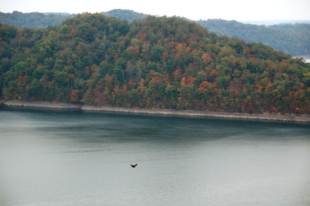 Dale Hollow
