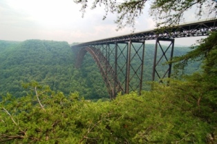 Who had the nerve to build this?
