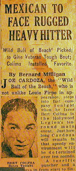 Wild Bull..?