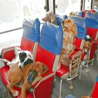 We're on the same boat, er, bus.