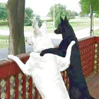 We share the same view.