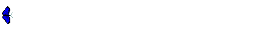 flyer.gif