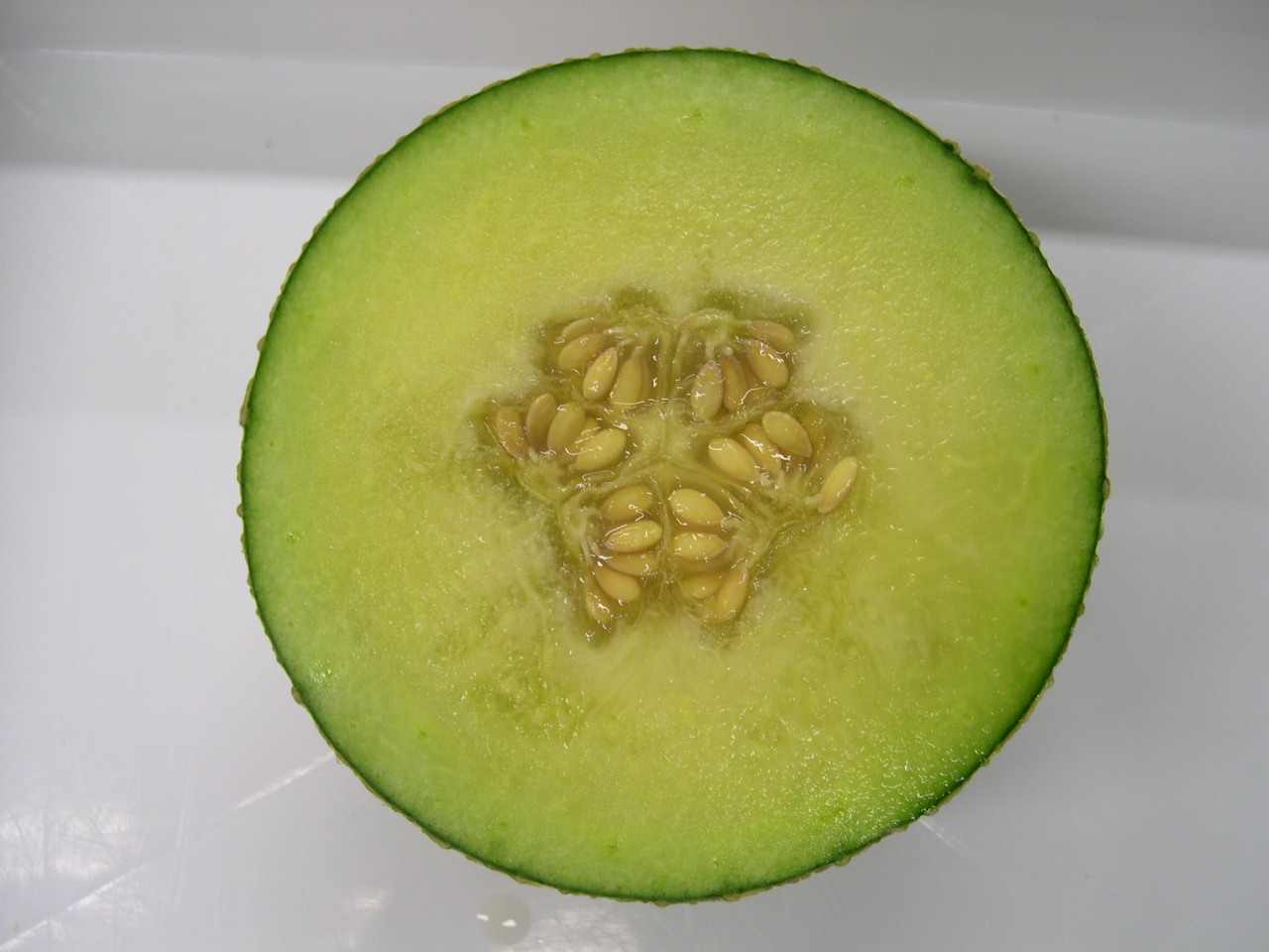 cut melon fruit