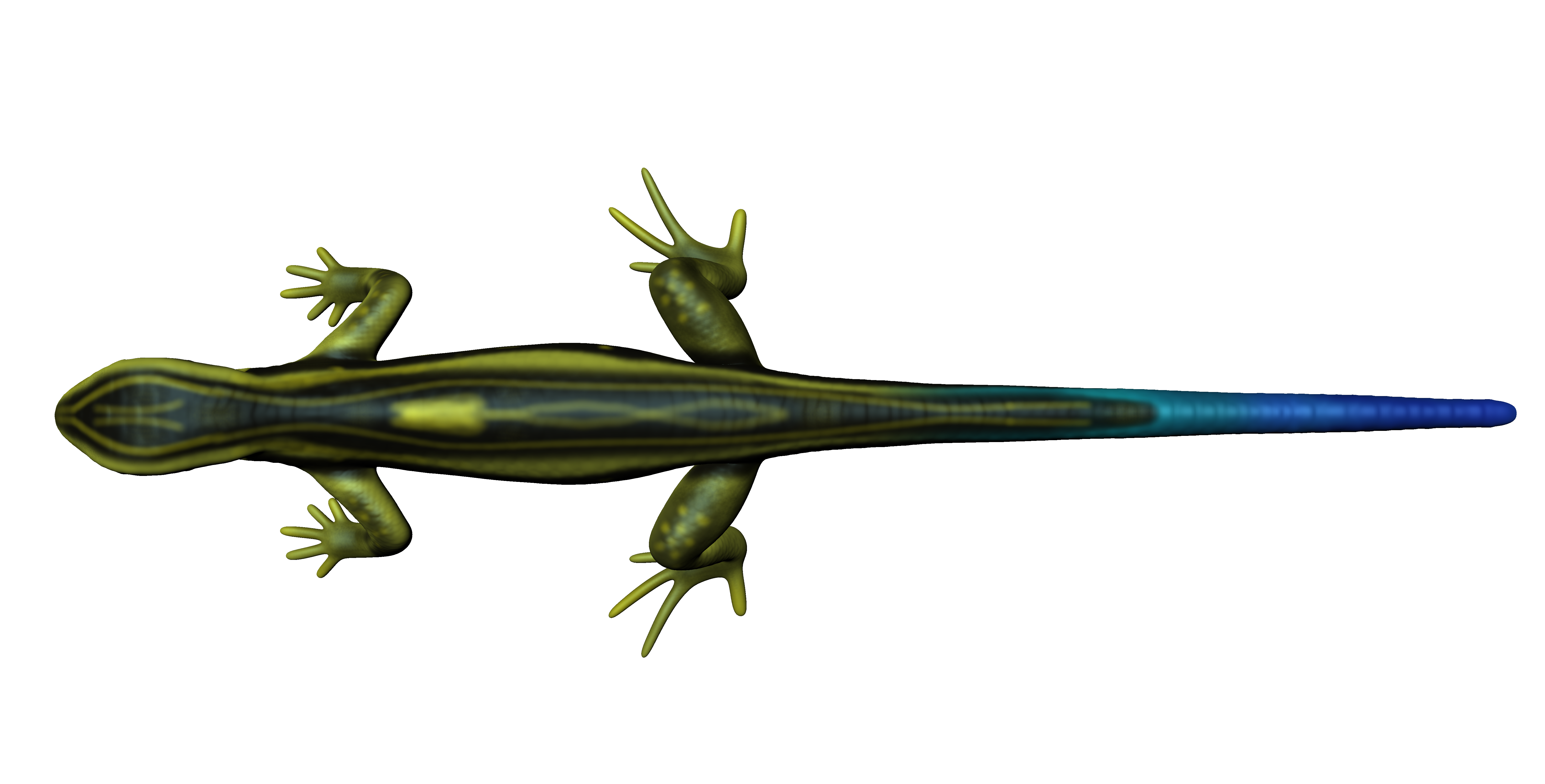 Lizard-top