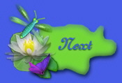 restnxt.jpg (10079 bytes)