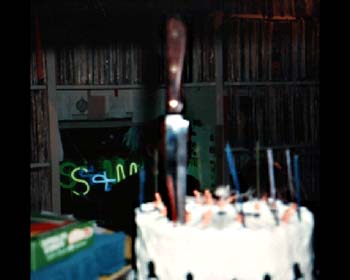 10thannivcake