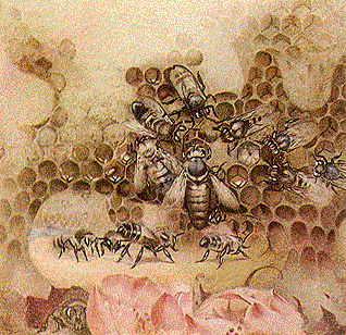 wpeA.gif (57883 bytes)