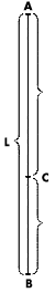 divinecut.gif (1354 bytes)