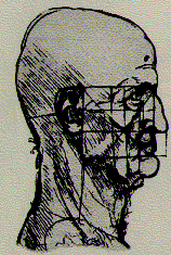 face.gif (20073 bytes)
