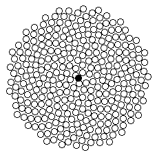 seed.gif (5690 bytes)