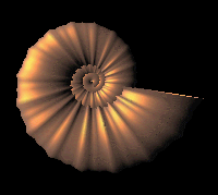 shell2.gif (13561 bytes)