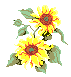 smallflower.gif (1012 bytes)