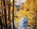 Aspen_Horiz_Rock_Creek_CA-CE.jpg