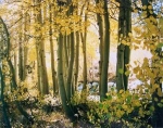 Aspen_III_Rock_Creek_CA_CDE.jpg