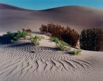 Desert_Green-CA-CDE.jpg