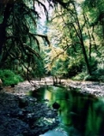 Silver_Creek-OR-CDE.jpg