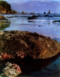 Third_Beach-WA-CDE.jpg
