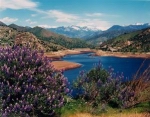 Three_Rivers_I-CA-CDE.jpg