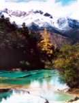 Yellow_Dragon-China-DE.jpg