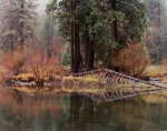 Yosemite_Village-CA-CDE.jpg