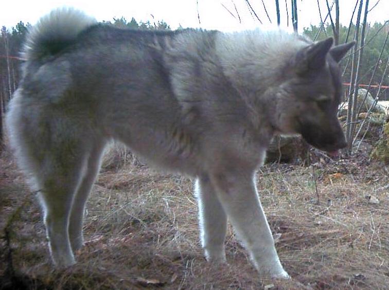 &copy Laura