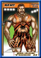 Black Tiger II
