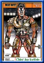 CHIEF JAY ICEVEIN