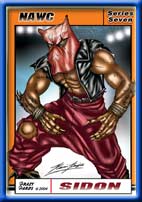 Sidon Card