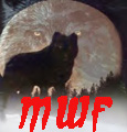 Click here to view the standings for the VKW