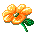 /user/flower.gif
