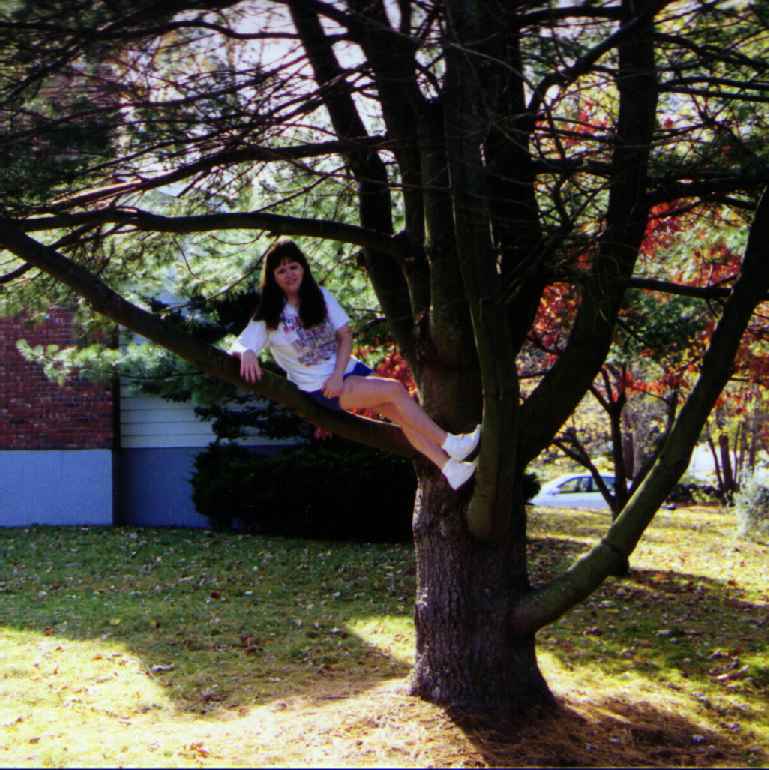 /user/tree2.JPG
