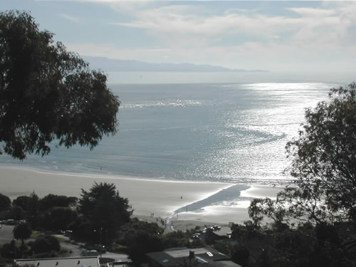 The Local Beach, Nelson