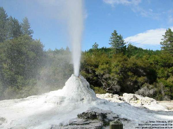 Geyser-Waiotapu valley region.