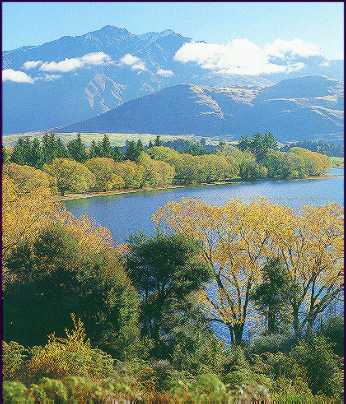 Lake Wanaka