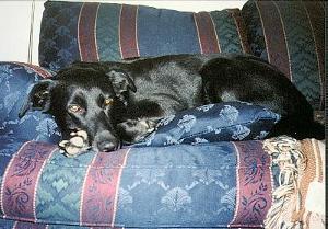 bonnie2