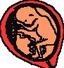SPIRITUAL INSIGHTS PAGE