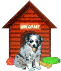 aussie puppy in front of dog house