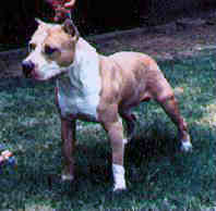 Noble
