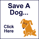 igive.com