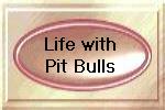 Life with a Pit Bull