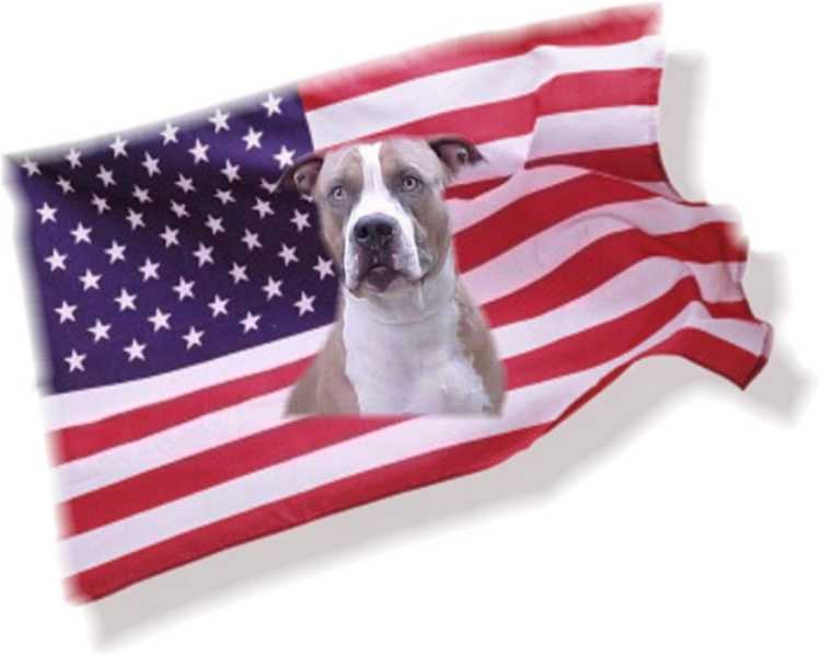 K9RL Logo
