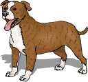 SBT