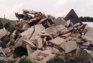 pstarubble.JPG (20347 bytes)