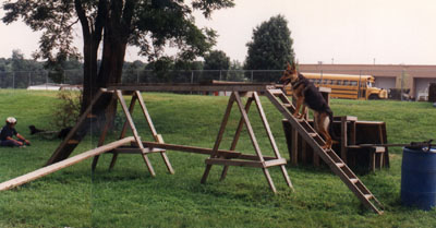 woodladder1.JPG (28919 bytes)