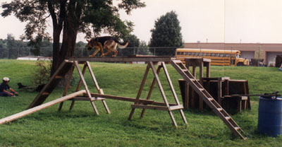 woodladder2.JPG (29040 bytes)