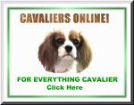 For EVERYTHING Cavalier King Charles Spaniels